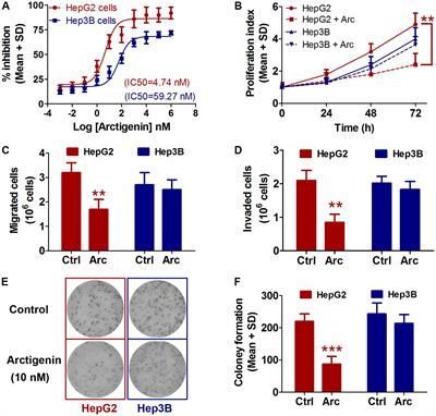 Arctigenin Inhibits Liver Cancer Tumorigenesis by Inhibiting Gankyrin Expression via C/EBPα and PPARα